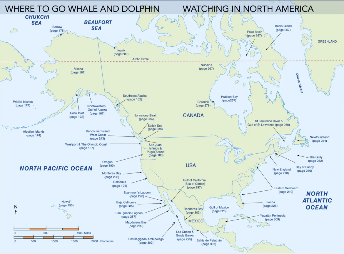 Mark Carwardine’s Guide to Whale Watching in North America